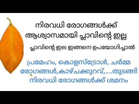 Recent post by AYUR MITHRA / ആയുർ മിത്ര