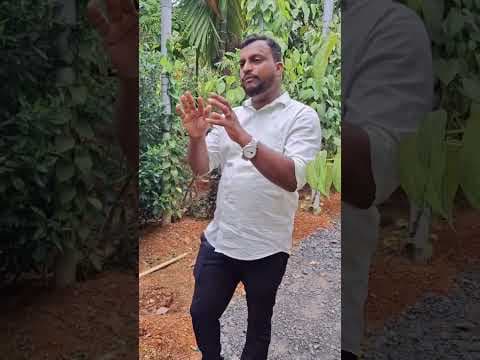 Recent post by കാർഷിക നുറുങ്ങുകൾ By Alfred