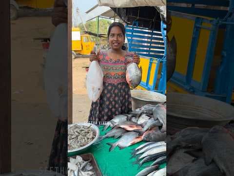 Recent post by Seetha Lakshmi