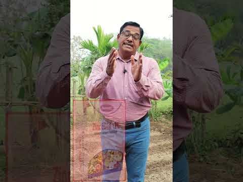 Recent post by KRUSHI SAMPADA