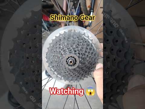 Recent post by Indian Cycle Guruji