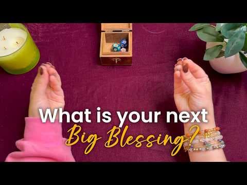 Recent post by Akriti Bhatia