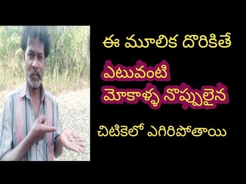 Recent post by ALL AP AYURVEDAM VENKATESH CHANNEL