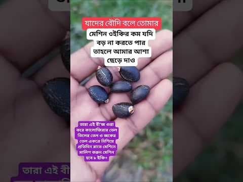 Recent post by Hakim Rashid Naogaon