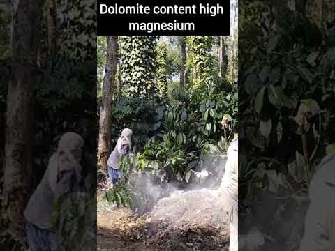 Recent post by Plantation Info {ಕೃಷಿ ಸಲಹೆ}