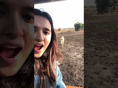 Recent post by Shirley Setia