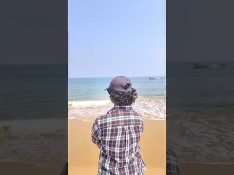 Recent post by Shameer taaj