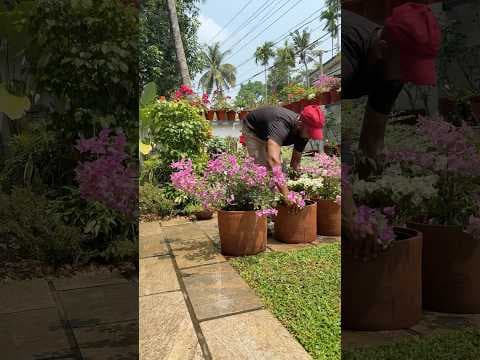 Recent post by Jishnu Uthaman