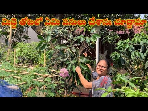 Recent post by Patnam Lo Palleturu by Pinnaka Padma