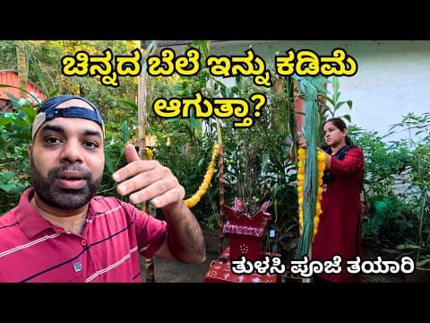 Recent post by Mr & Mrs Kamath