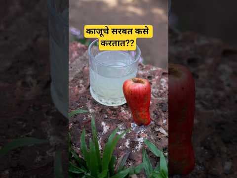 Recent post by Mukta Narvekar