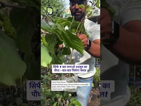 Recent post by Delhi Dudes
