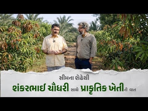 Recent post by Vishesh with Dinesh