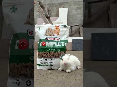 Recent post by FreeExoticPet