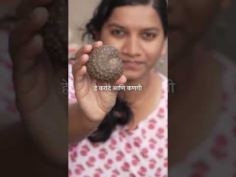Recent post by Mukta Narvekar