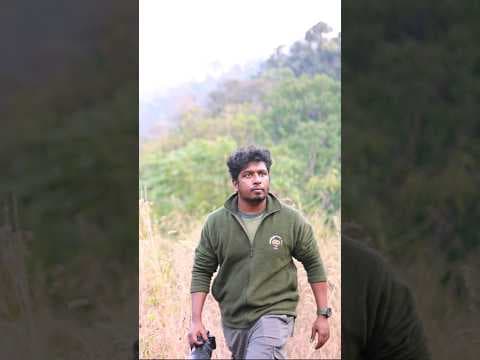 Recent post by Vaishakh Manohar