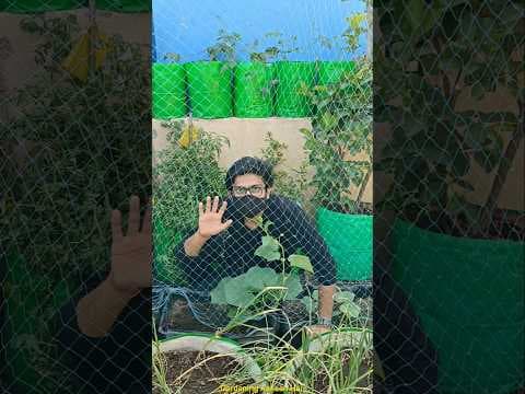 Recent post by Gardening Aasaan Hai