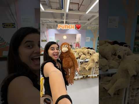 Recent post by Bhavini Purohit