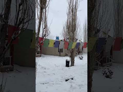 Recent post by VG vlogs