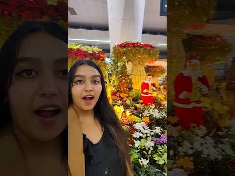 Recent post by Shivani Aggarwal