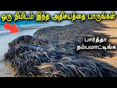 Recent post by Tamil Teazle