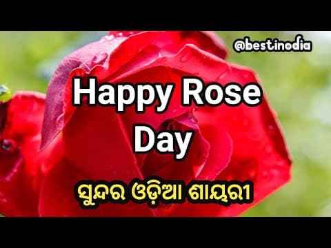 Recent post by Best in Odia