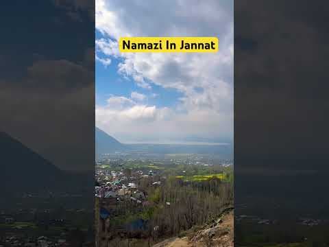 Recent post by Mohammad Asif Luchi