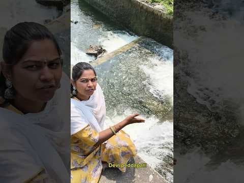 Recent post by Mana Devi Muchatlu