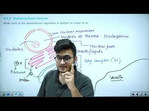 Recent post by Ozone Classes by Vipin Sharma Sir