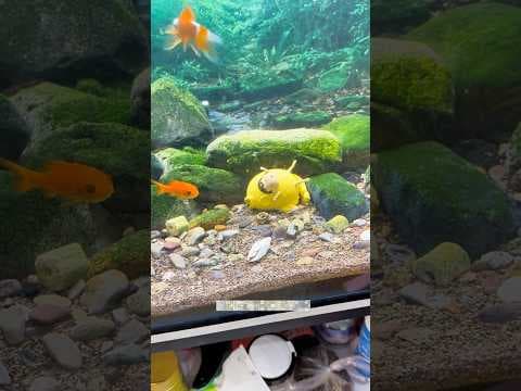 Recent post by Abhishek Vlogs 07
