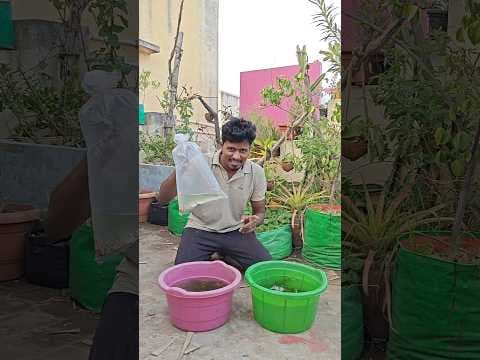 Recent post by Vijay Vlogs