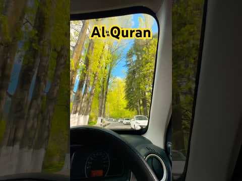 Recent post by Mohammad Asif Luchi