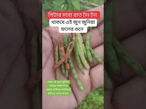 Recent post by Hakim Rashid Naogaon