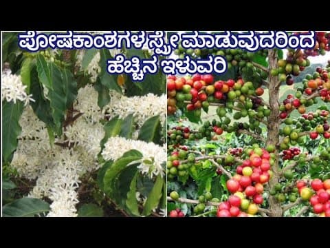 Recent post by Plantation Info {ಕೃಷಿ ಸಲಹೆ}