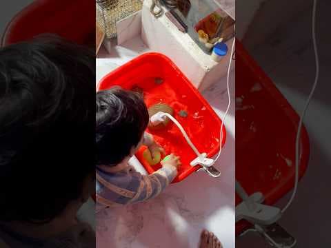 Recent post by Pets Man