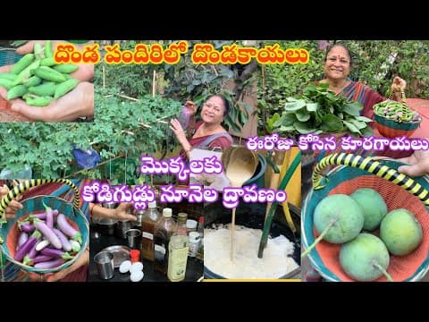 Recent post by Patnam Lo Palleturu by Pinnaka Padma