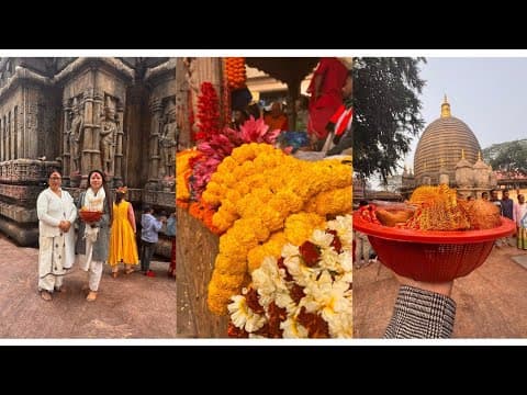 Recent post by Lipika Brahma