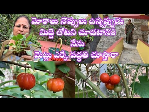 Recent post by Patnam Lo Palleturu by Pinnaka Padma