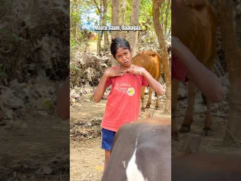 Recent post by Naresh Kuruvilla