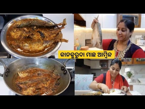 Recent post by rashmi the vlogger