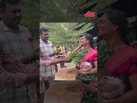 Recent post by KATRATHU KAIALAVU
