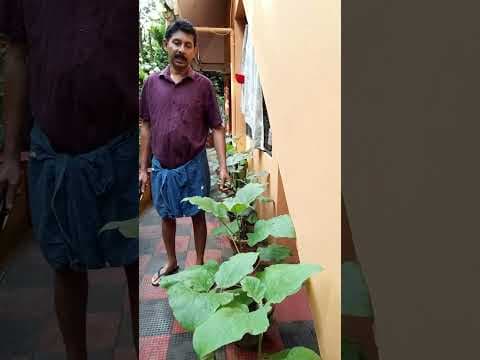 Recent post by Krishi Lokam