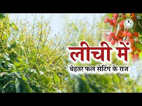 Recent post by Bihar Agricultural University Sabour