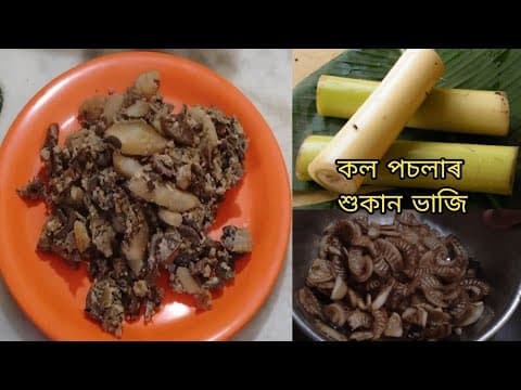 Recent post by Alpana Bhattacharyya