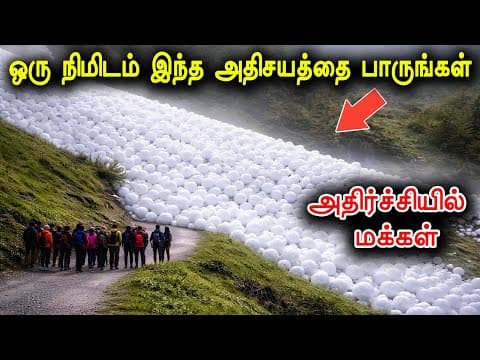 Recent post by Tamil Teazle