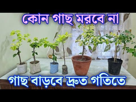 Recent post by Green Friends