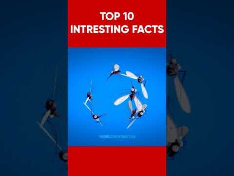 Recent post by INTERACT IDEA