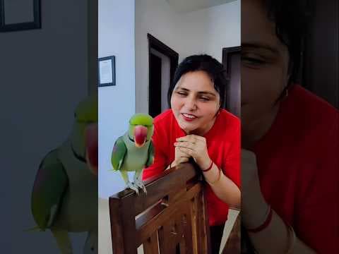 Recent post by Devender ranawat