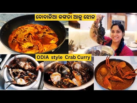 Recent post by rashmi the vlogger