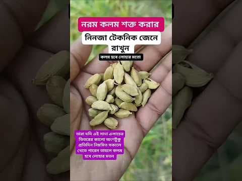 Recent post by Hakim Rashid Naogaon